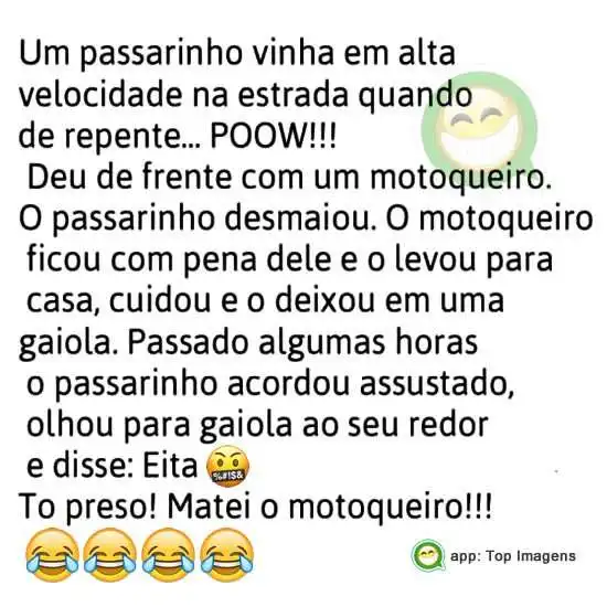 Piada de motoqueiro e o passarinho