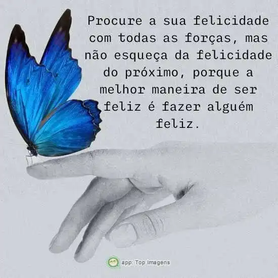 Procure a sua felicidade