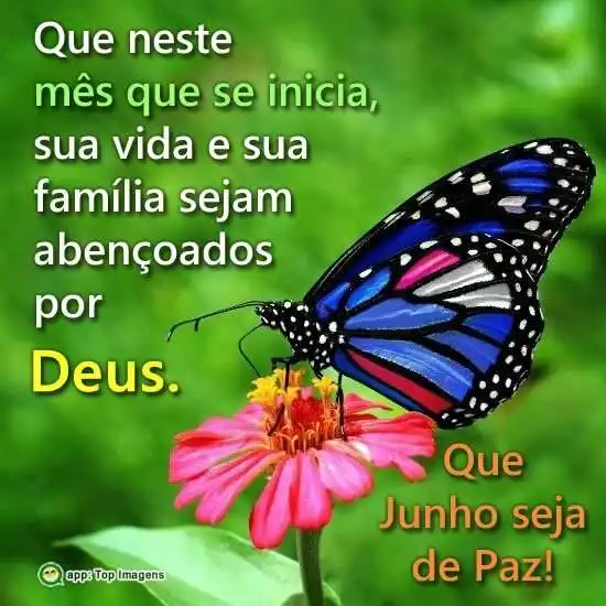 Que Junho seja de Paz.