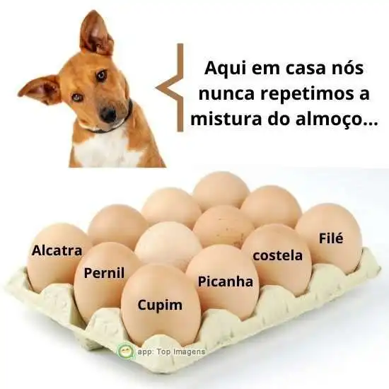 Repetir mistura do almoço