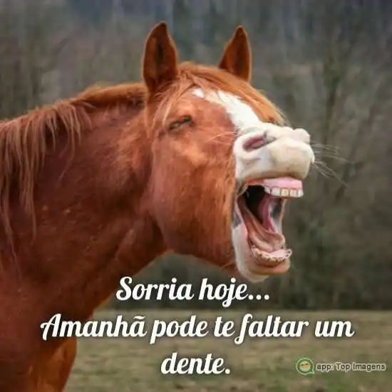 Sorria hoje
