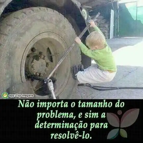 Tamanho da determinação