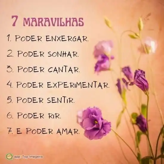 7 maravilhas