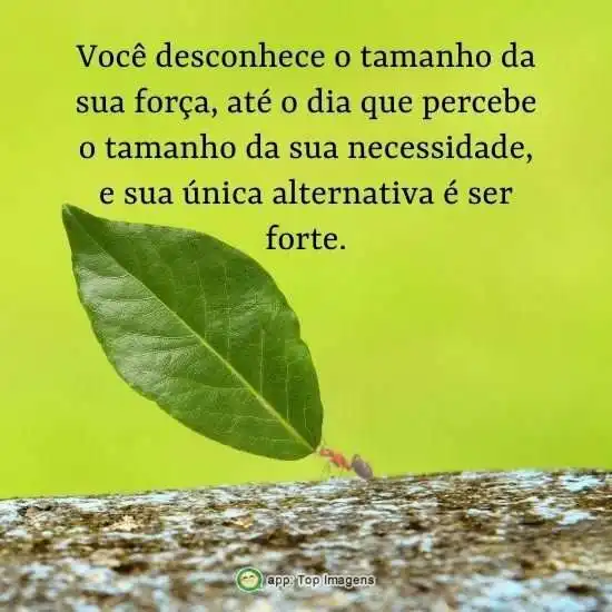 A alternativa é ser forte