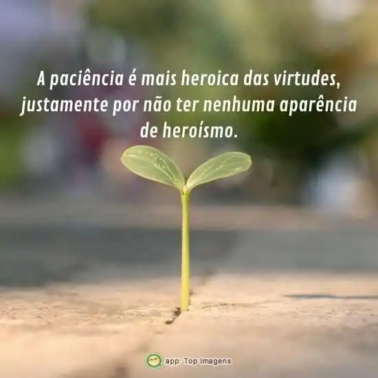 A paciência