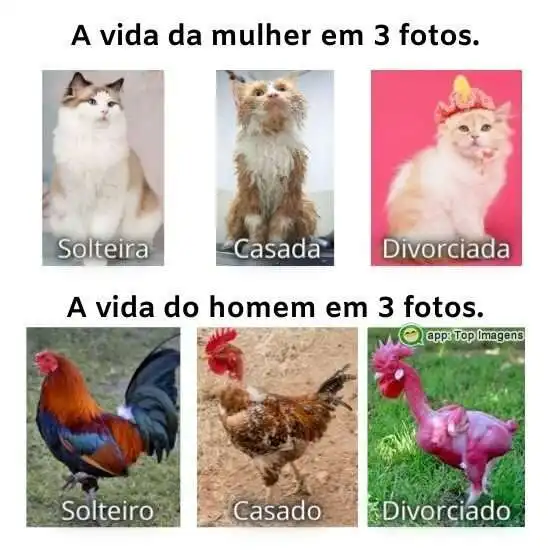 A vida da mulher e do homem