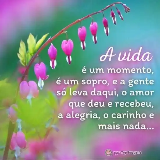 A vida é um momento
