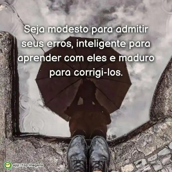 Admita seus erros
