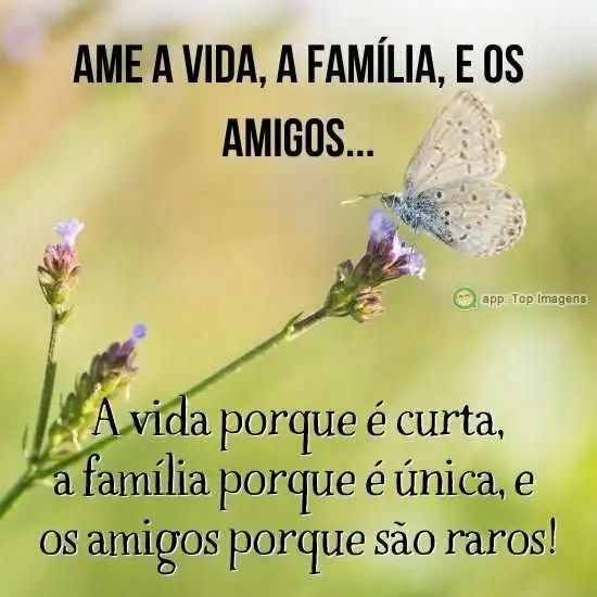 Ame a vida, família e amigos