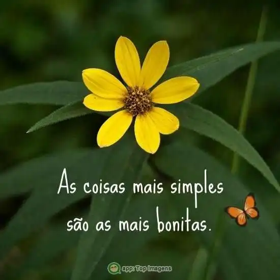 As coisas mais simples