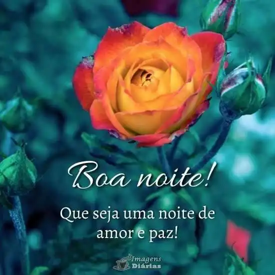 Boa noite