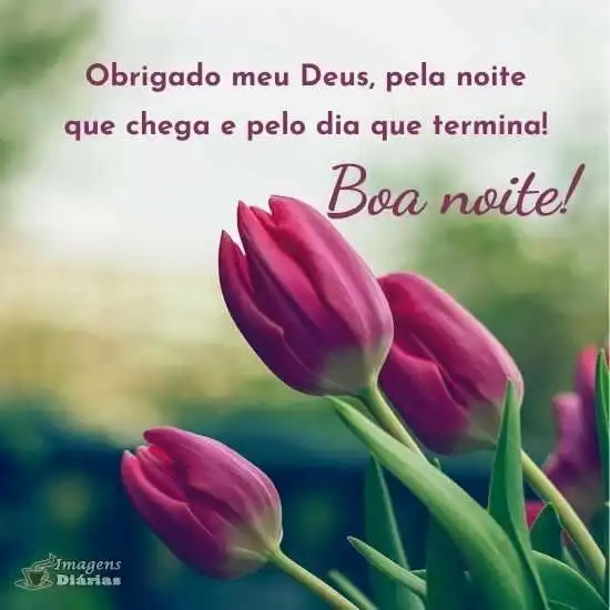 Boa noite