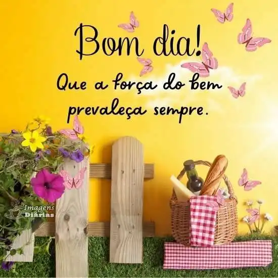 Bom dia