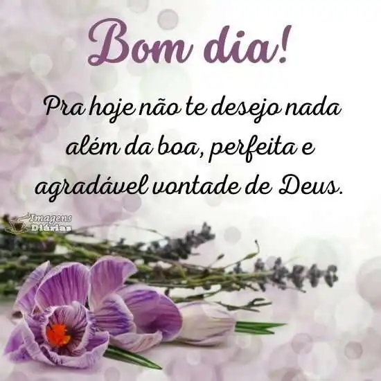 Bom dia