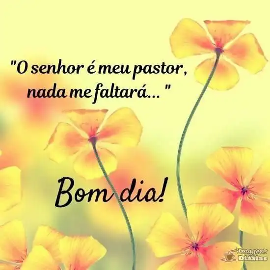 Bom dia