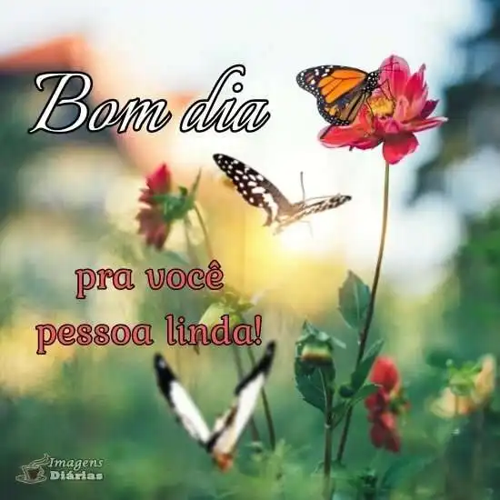 Bom dia