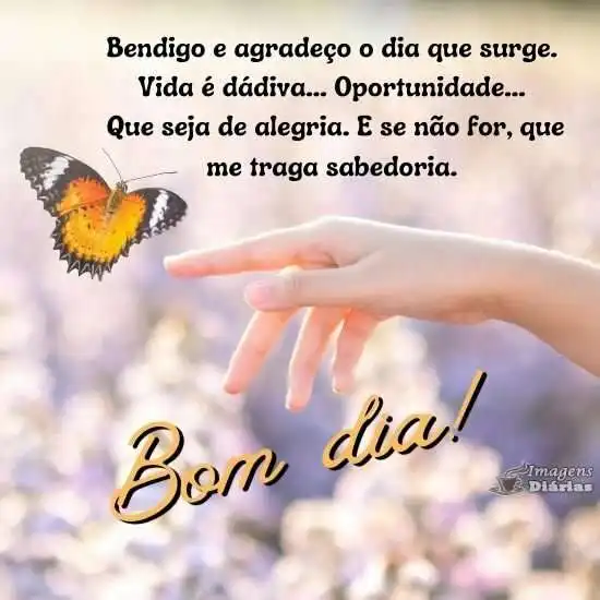 Bom dia