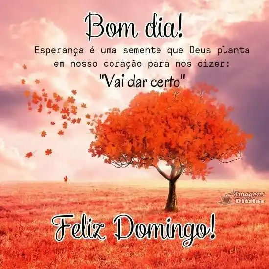 Resultado da pesquisa por domingo feliz - Imagens Diárias, página 2 Resultado da pesquisa por domingo feliz - Imagens Diárias, página 2