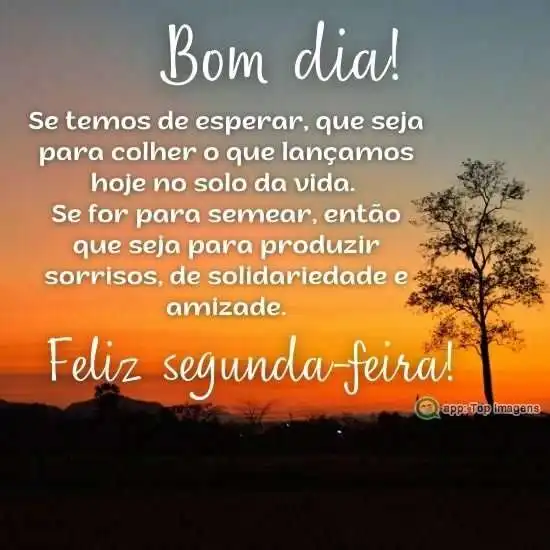 Bom dia e feliz segunda-feira