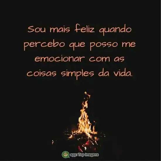 Coisas simples da vida