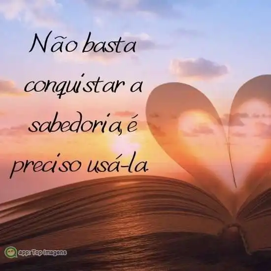 Conquistar a sabedoria