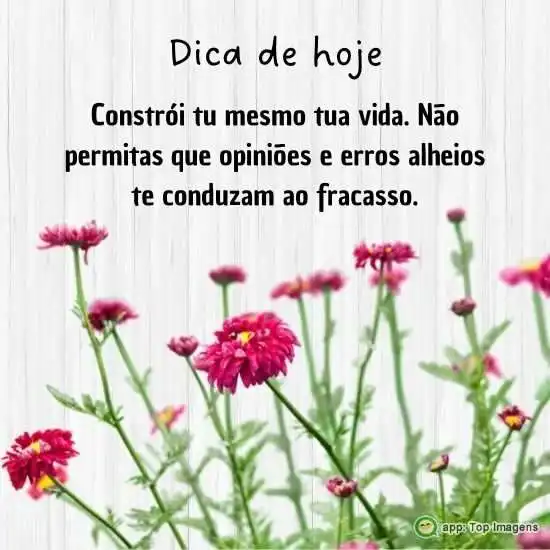 Construa tua vida