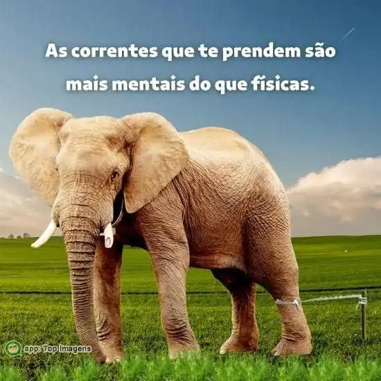 Correntes que te prendem