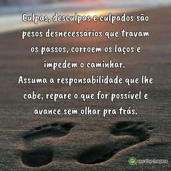 Culpas, desculpas e culpados