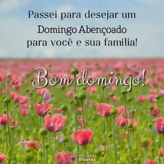Domingo abençoado