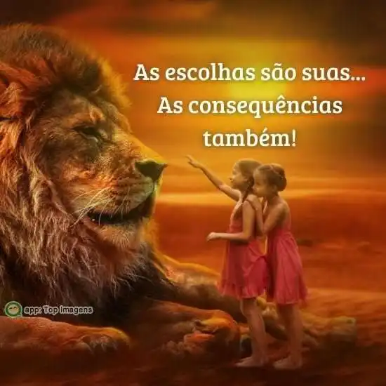 Escolhas e consequências