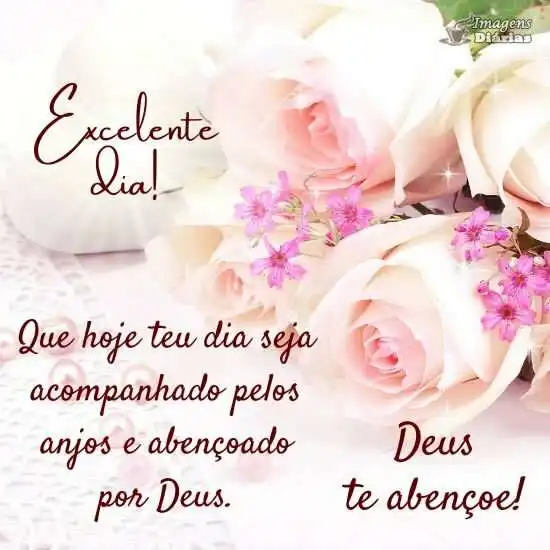 Excelente dia