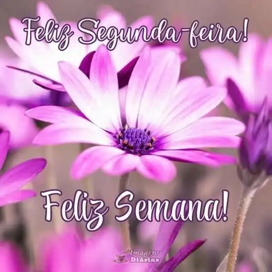 Feliz segunda-feira