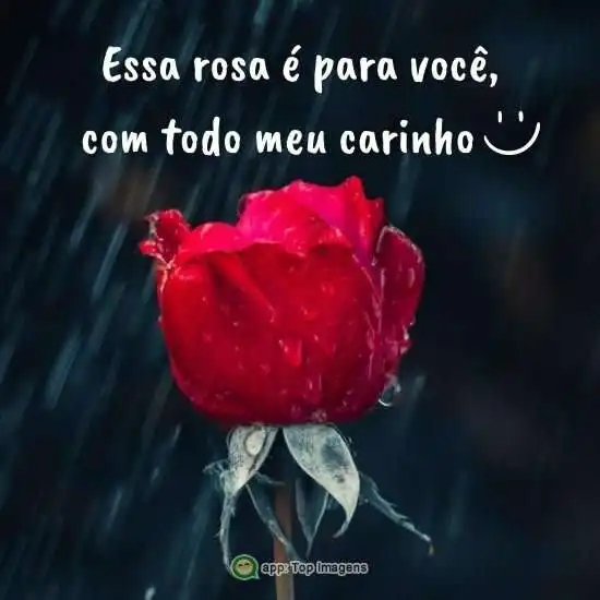 Flor para você com carinho