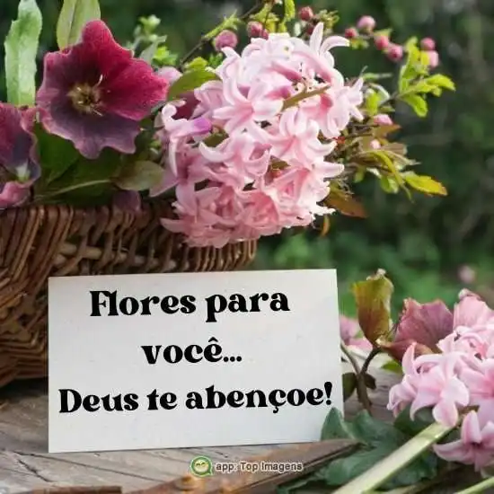 Flores pra você