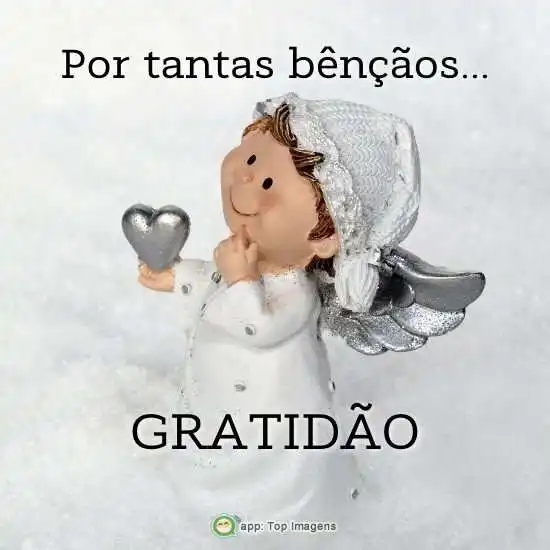 Gratidão pelas bênçãos