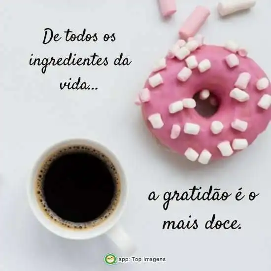 Ingredientes da vida