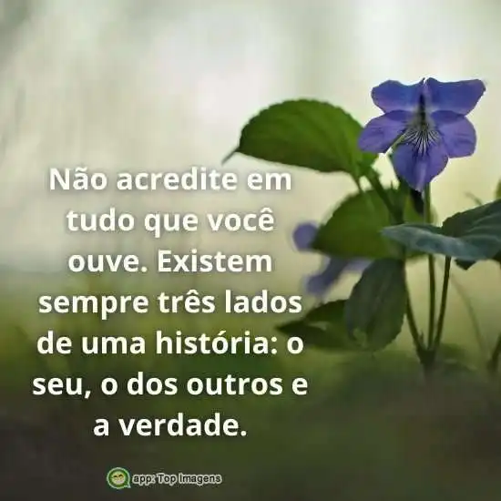 Lados de uma história