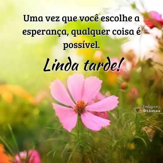 Linda tarde