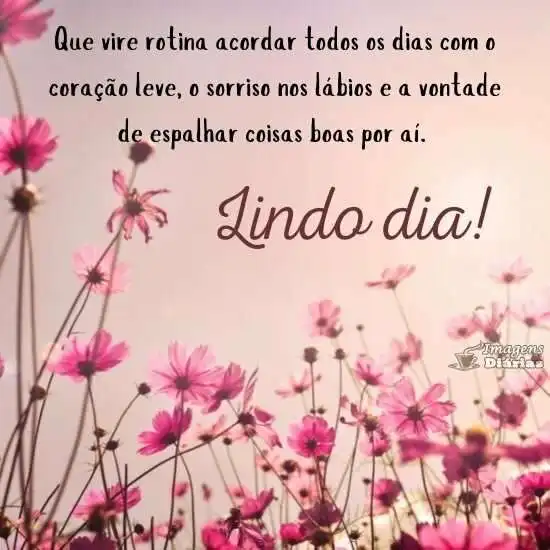 Lindo dia pra você