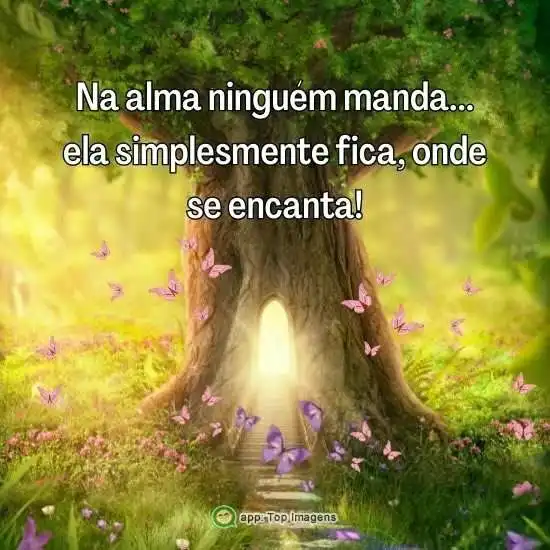 Na alma ninguém manda