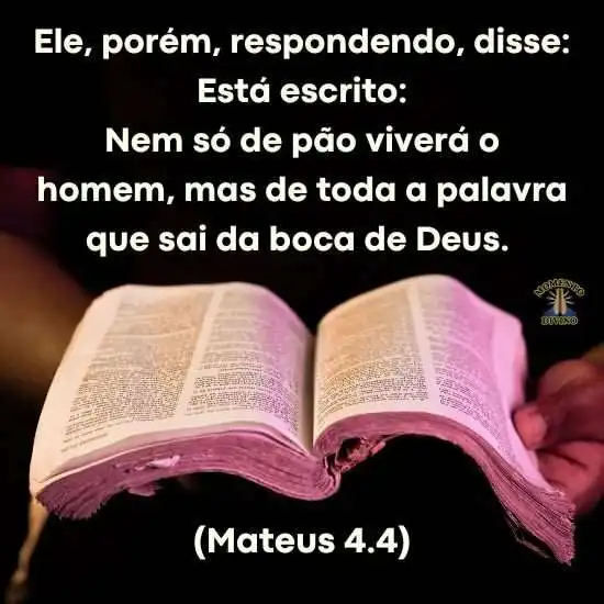 Nem só de pão viverá o homem