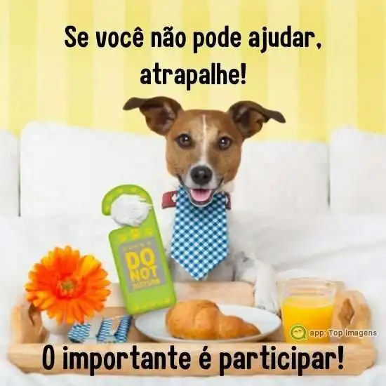 O importante é participar