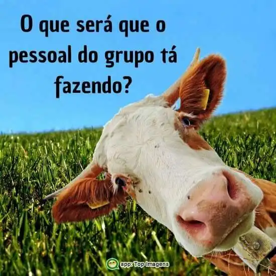 O que será que estão fazendo