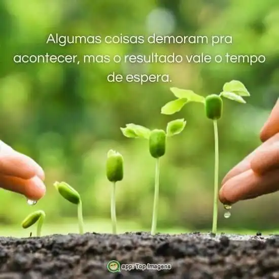 O resultado vale o tempo