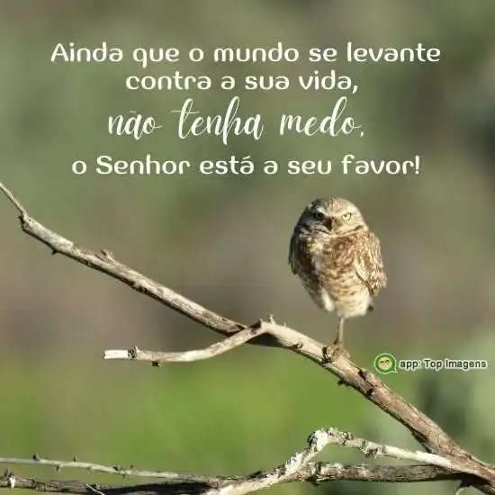 O Senhor está a seu favor