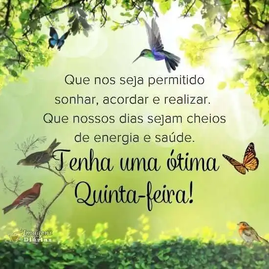 Ótima quinta-feira