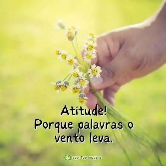 Palavras o vento leva