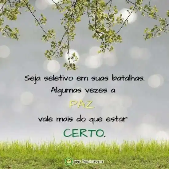 Seja seletivo em suas batalhas