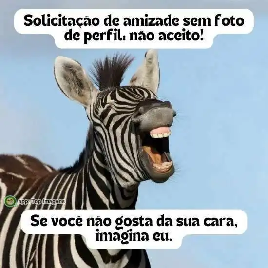 Solicitação de amizade