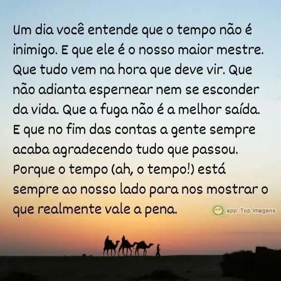 Tudo tem seu tempo